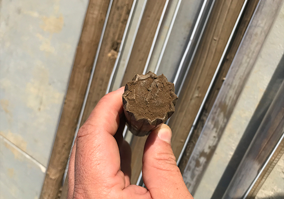 Close up of a hand holding a core sample.